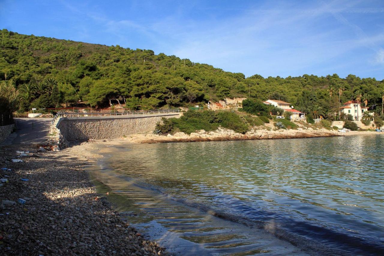 Apartments By The Sea Milna, Vis - 8895 Rukavac  Exteriér fotografie